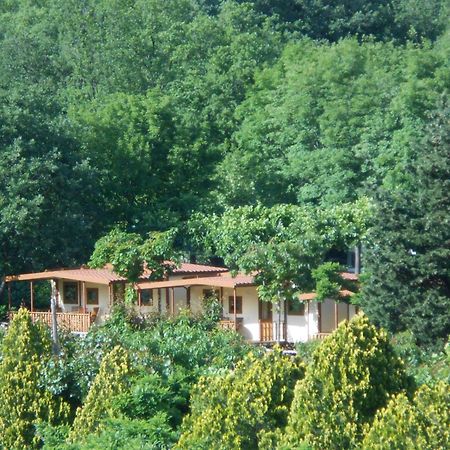 Campeggio Pian Dei Boschi بيترا ليغوري المظهر الخارجي الصورة
